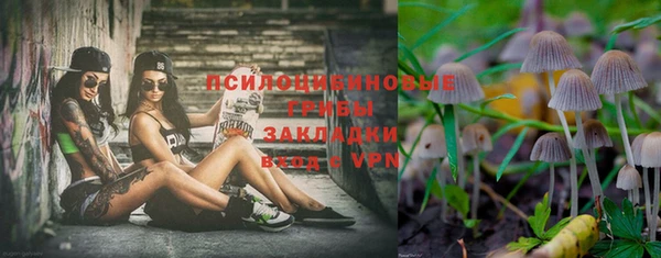 индика Сосновый Бор